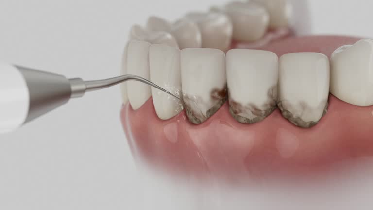 Reliable Dental contractor in McMechen, WV by Dentist Open Now